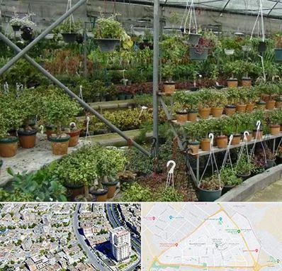 بازار گل و گیاه در قاسم آباد مشهد