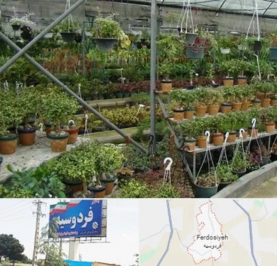 بازار گل و گیاه در فردوسیه شهریار