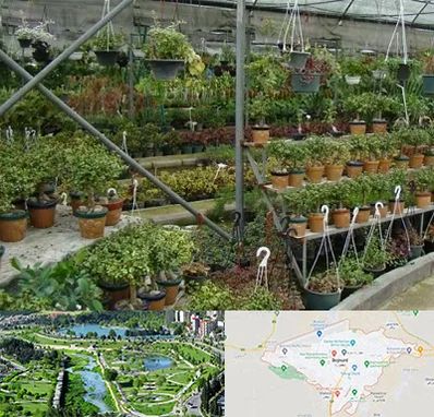 بازار گل و گیاه در بجنورد