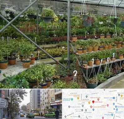 بازار گل و گیاه در فاطمی