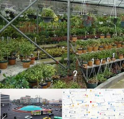 بازار گل و گیاه در میدان انقلاب