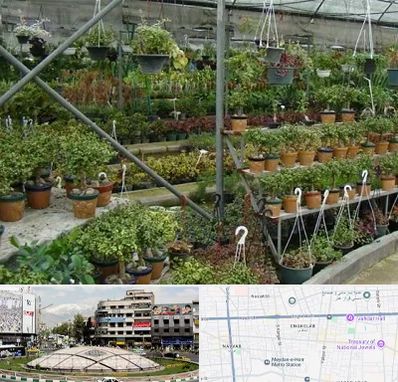 بازار گل و گیاه در مرکز تهران