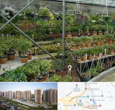 بازار گل و گیاه در المپیک