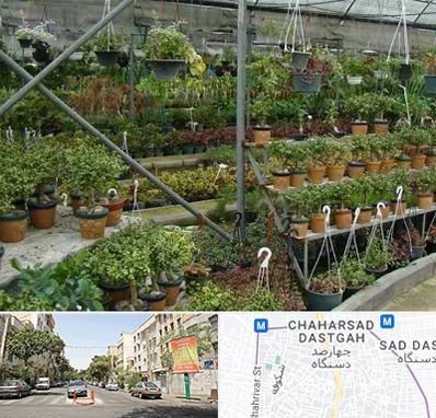 بازار گل و گیاه در چهارصد دستگاه