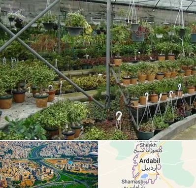 بازار گل و گیاه در اردبیل