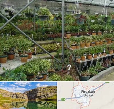 بازار گل و گیاه در فیروزکوه