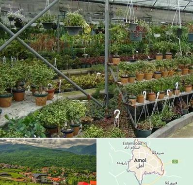 بازار گل و گیاه در آمل