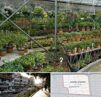 بازار گل و گیاه در خیابان جمالزاده