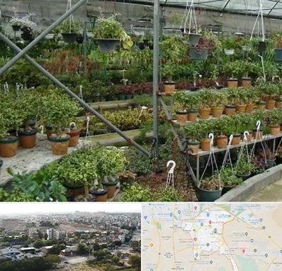 بازار گل و گیاه در منطقه 20 تهران