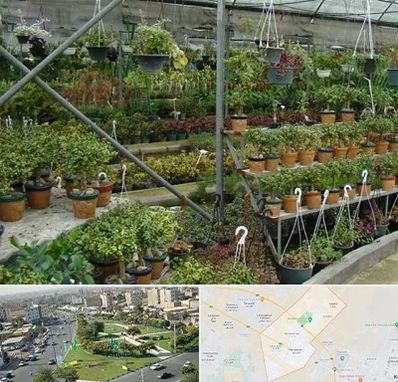 بازار گل و گیاه در کمال شهر کرج