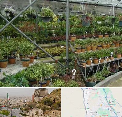 بازار گل و گیاه در فرهنگ شهر شیراز