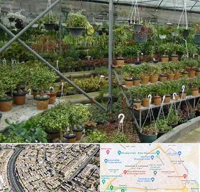 بازار گل و گیاه در شهرک غرب مشهد