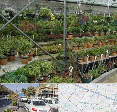 بازار گل و گیاه در مفتح مشهد