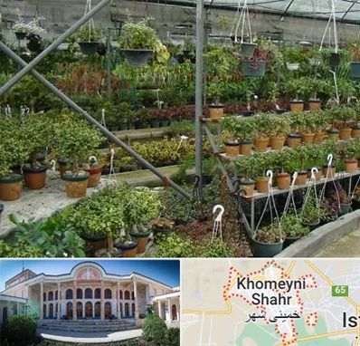 بازار گل و گیاه در خمینی شهر
