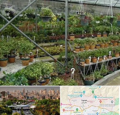 بازار گل و گیاه در منطقه 1 تهران