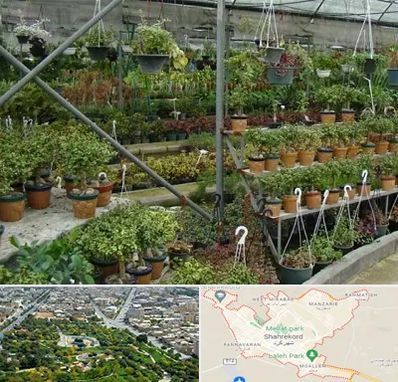 بازار گل و گیاه در شهرکرد