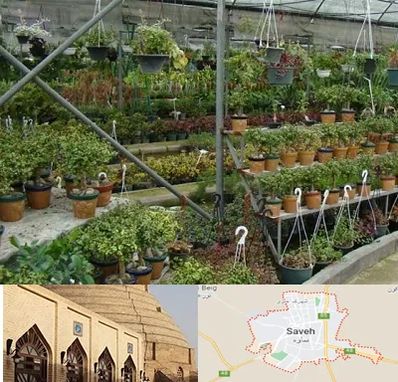 بازار گل و گیاه در ساوه