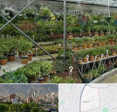 بازار گل و گیاه در جمشیدیه