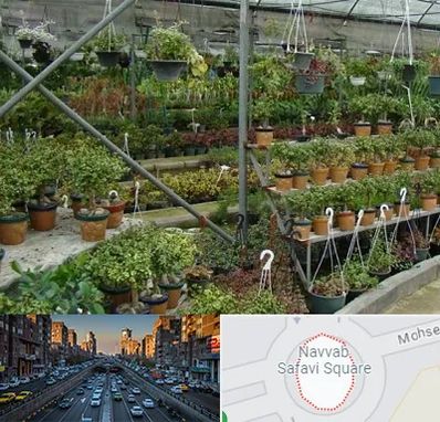 بازار گل و گیاه در نواب