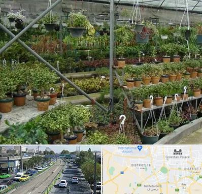 بازار گل و گیاه در جنوب تهران