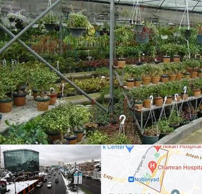 بازار گل و گیاه در اقدسیه