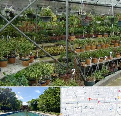 بازار گل و گیاه در هشت بهشت اصفهان