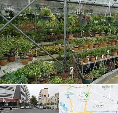 بازار گل و گیاه در بلوار فردوس