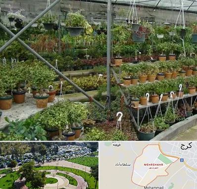 بازار گل و گیاه در مهرشهر کرج