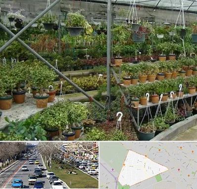 بازار گل و گیاه در احمدآباد مشهد