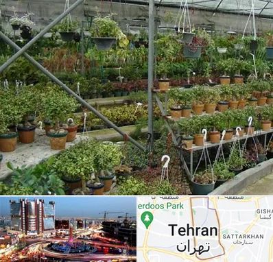 بازار گل و گیاه در صادقیه