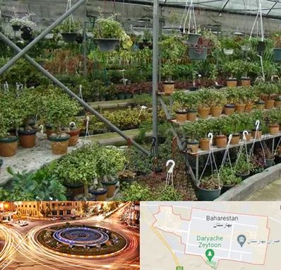 بازار گل و گیاه در بهارستان