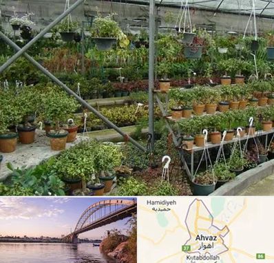 بازار گل و گیاه در اهواز