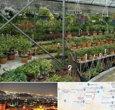 بازار گل و گیاه در مارلیک کرج