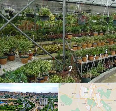 بازار گل و گیاه در شهریار