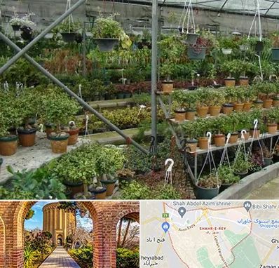 بازار گل و گیاه در شهر ری