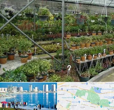 بازار گل و گیاه در چیتگر