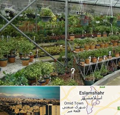 بازار گل و گیاه در اسلامشهر