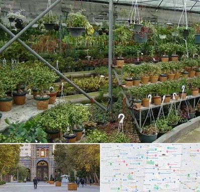 بازار گل و گیاه در منطقه 12 تهران