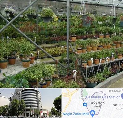 بازار گل و گیاه در قلهک