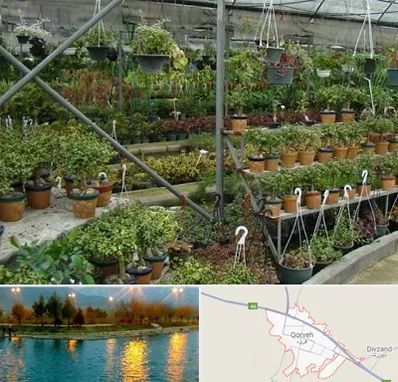 بازار گل و گیاه در قروه