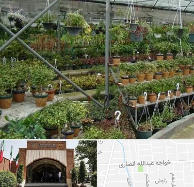 بازار گل و گیاه در خواجه عبدالله