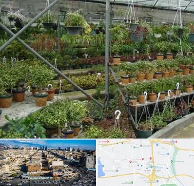 بازار گل و گیاه در شهرک راه آهن