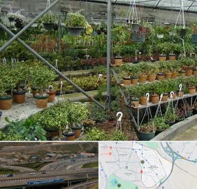 بازار گل و گیاه در یاغچیان تبریز