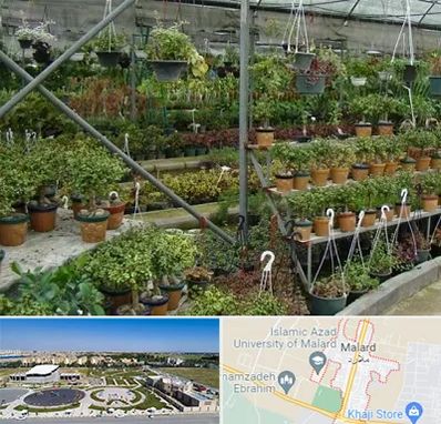 بازار گل و گیاه در ملارد