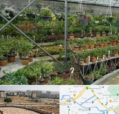 بازار گل و گیاه در کوی وحدت شیراز