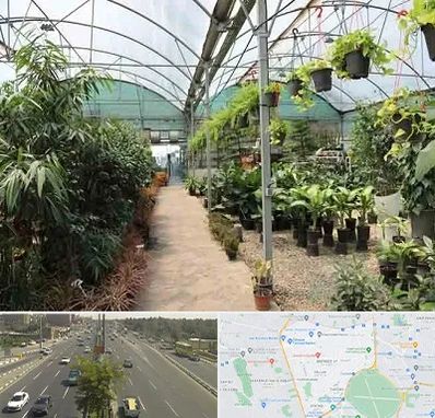 مرکز فروش گل و گیاه در منطقه 17 تهران