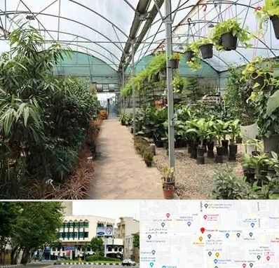 مرکز فروش گل و گیاه در طالقانی