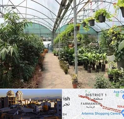 مرکز فروش گل و گیاه در فرمانیه