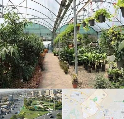 مرکز فروش گل و گیاه در کمال شهر کرج