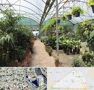 مرکز فروش گل و گیاه در قاسم آباد مشهد